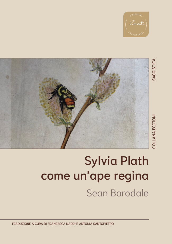 Sylvia Plath come un'ape regina | Sean Borodale